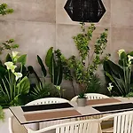 Korina 3* 스칼라 포타미아스